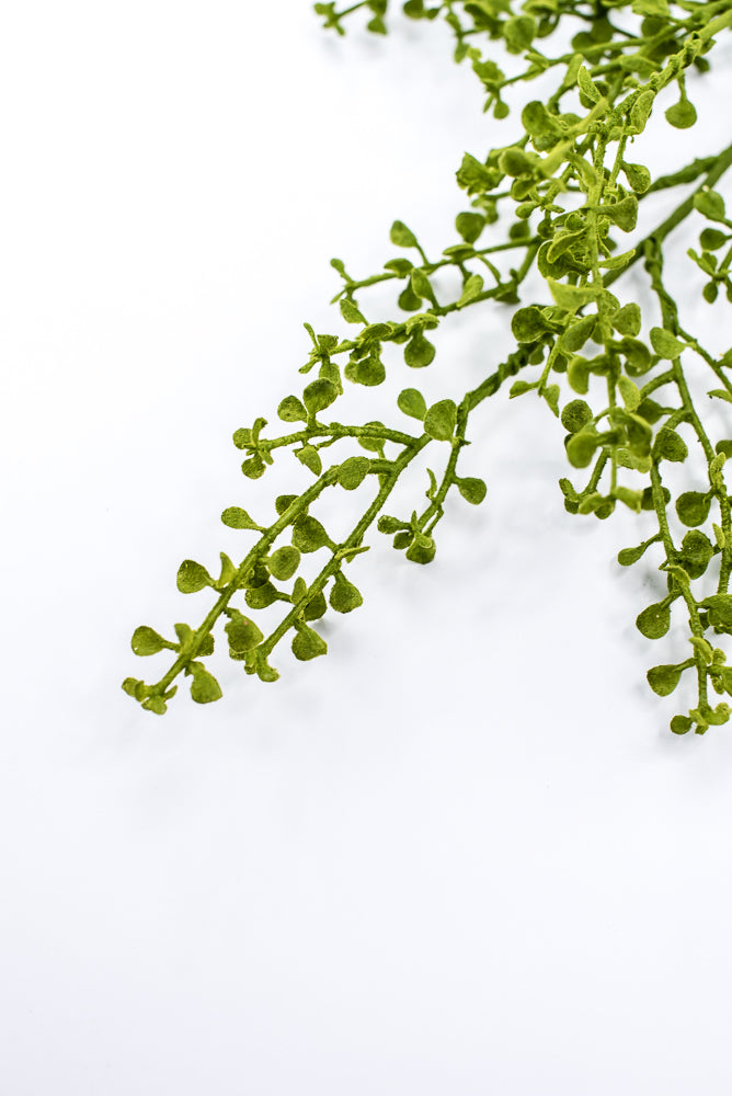 Mossy Button Grass Spray