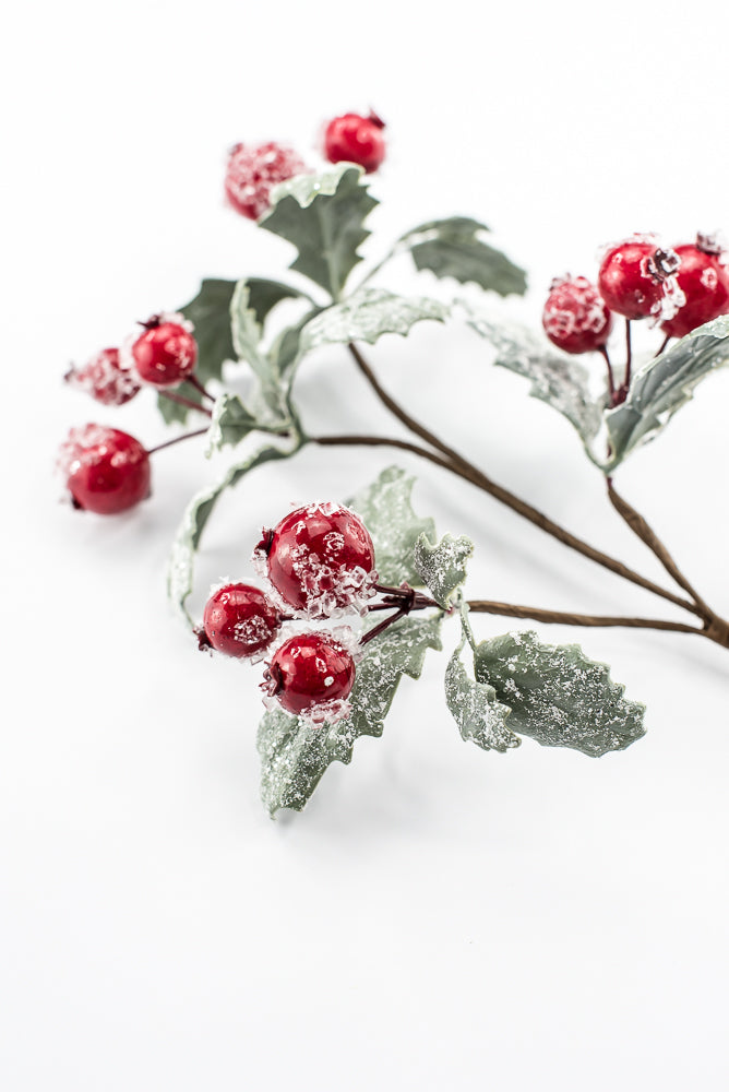 Iced Berry And Leaves Pick