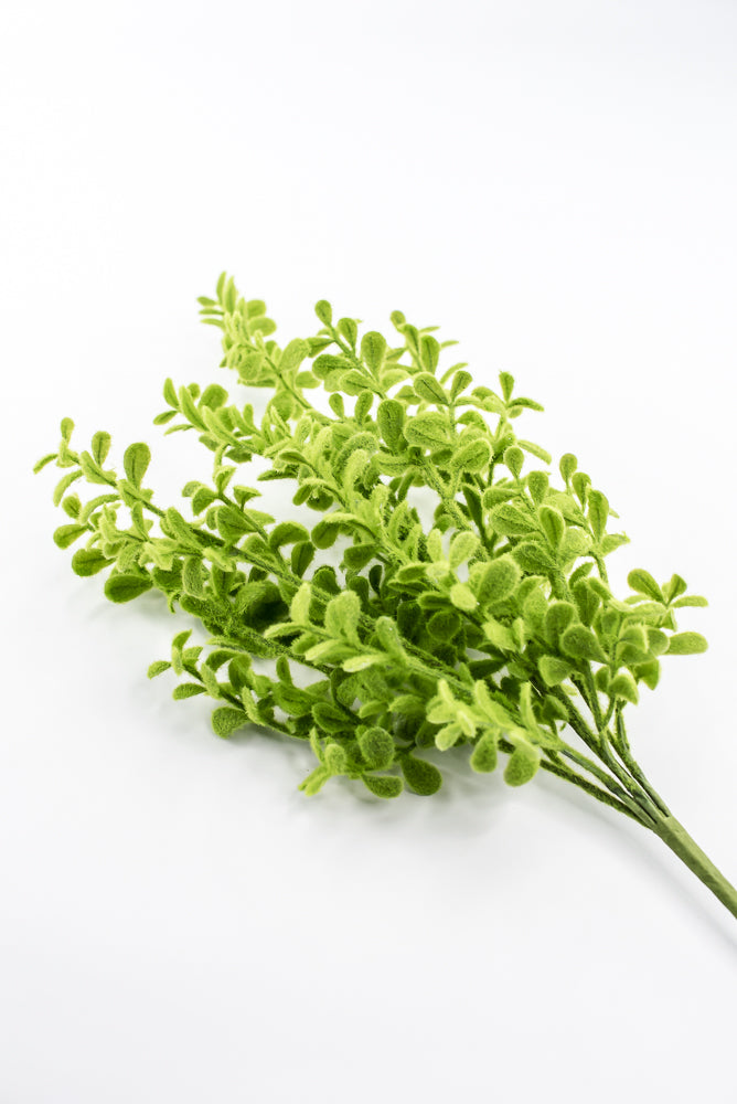 Artificial, Mossed, Boxwood Bush