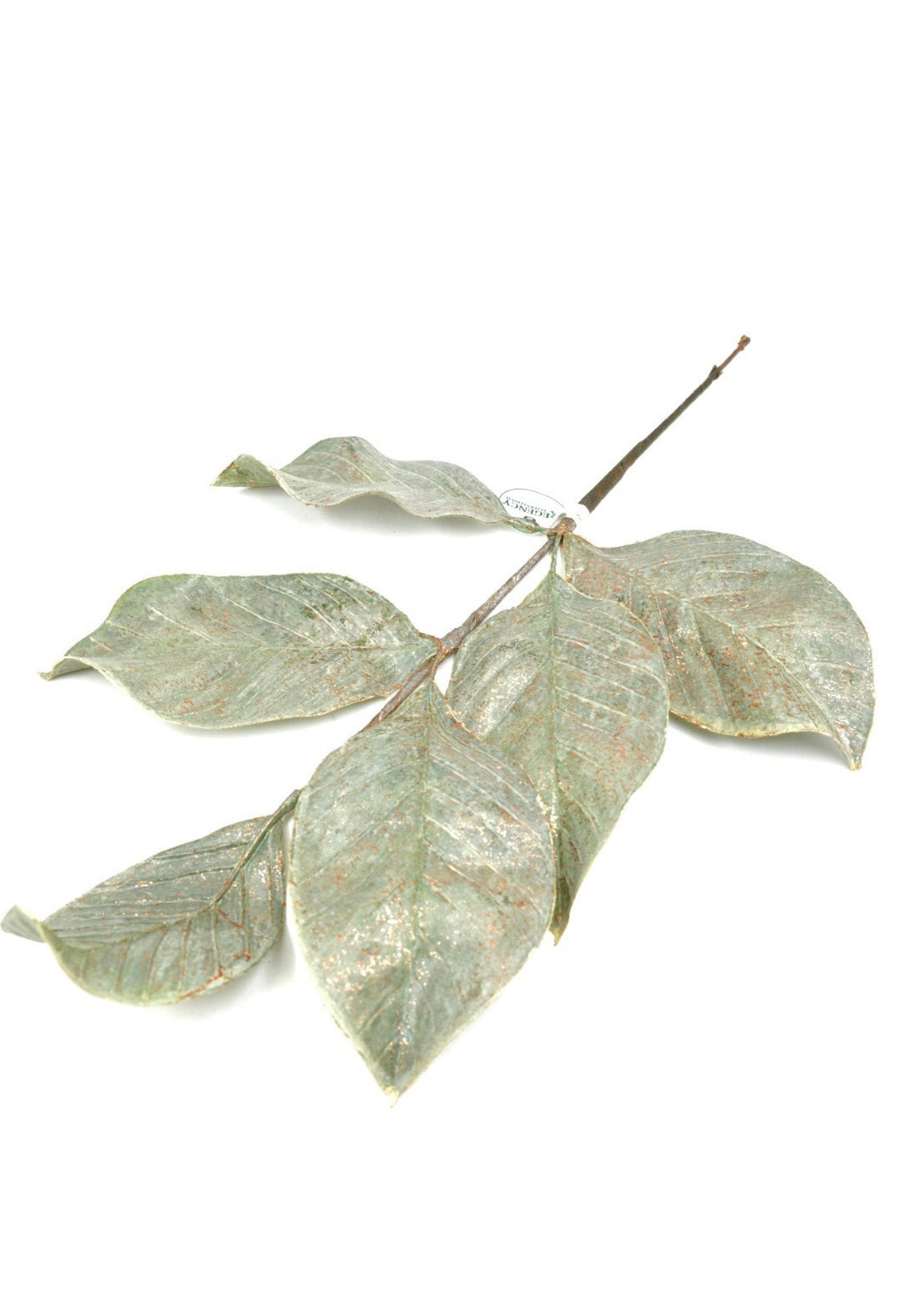 Magnolia leaves, with metallic