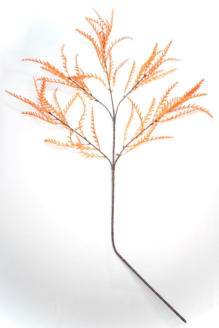 Fall, Artificial, Teridium spray