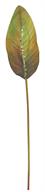 Artificial Green & Brown Bird Of Paradise Leaf - 27"