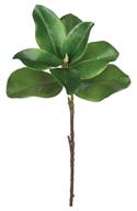 Artificial Green Magnolia Leaf Spray - 23"