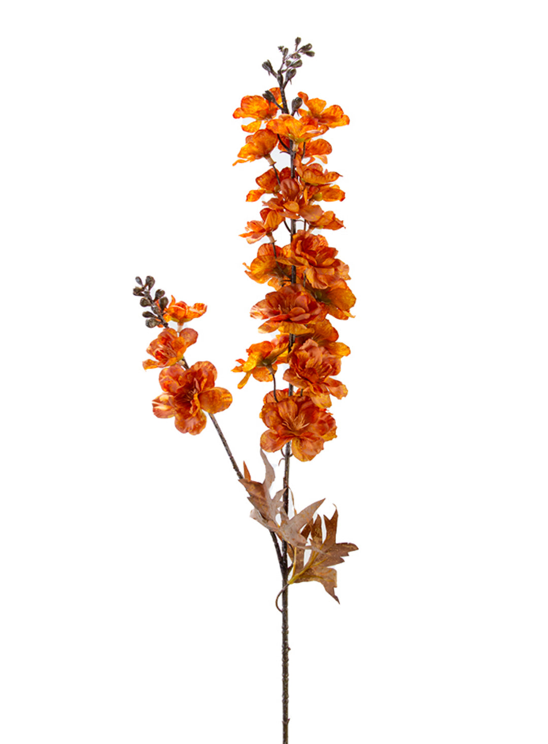 Light Brown Larkspur Spray - 34"