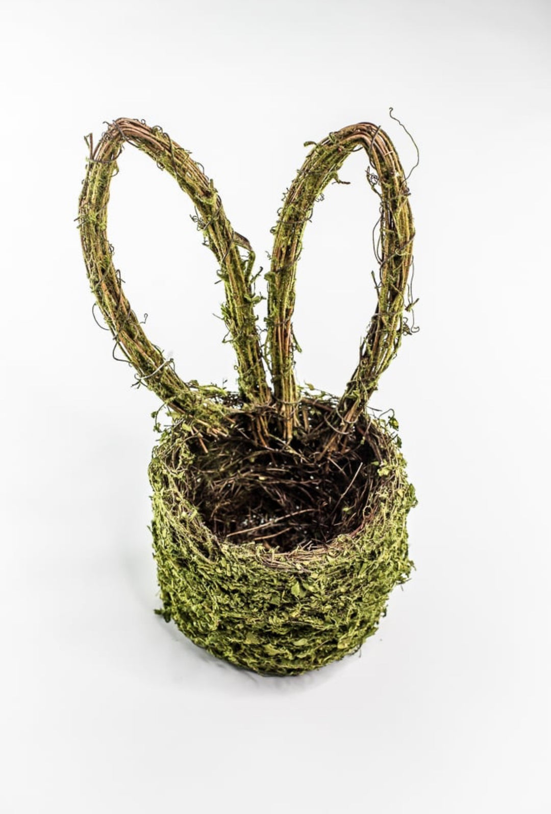 Moss Bunny Ears Basket