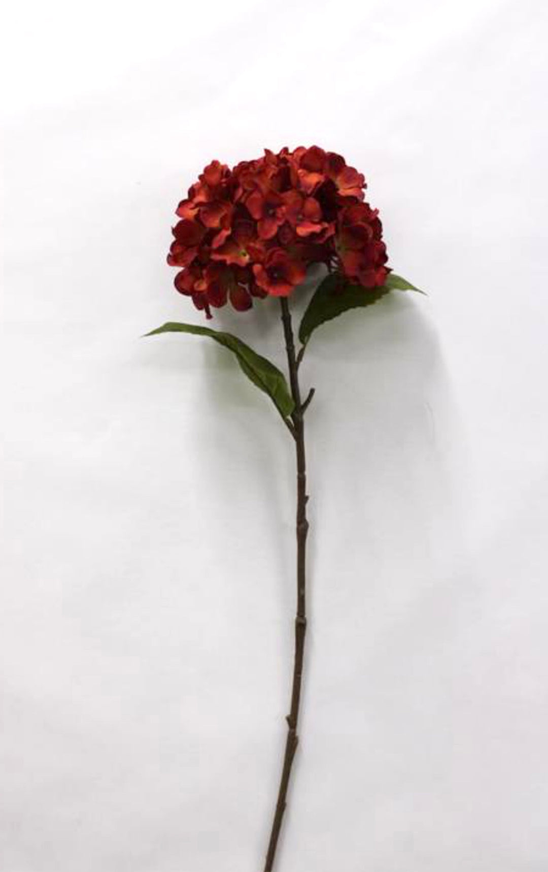 Rust Hydrangea Spray - 25"