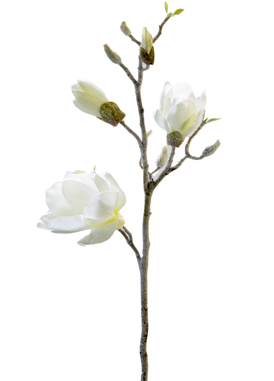 Artificial, Frosted Magnolia Spray - 32"
