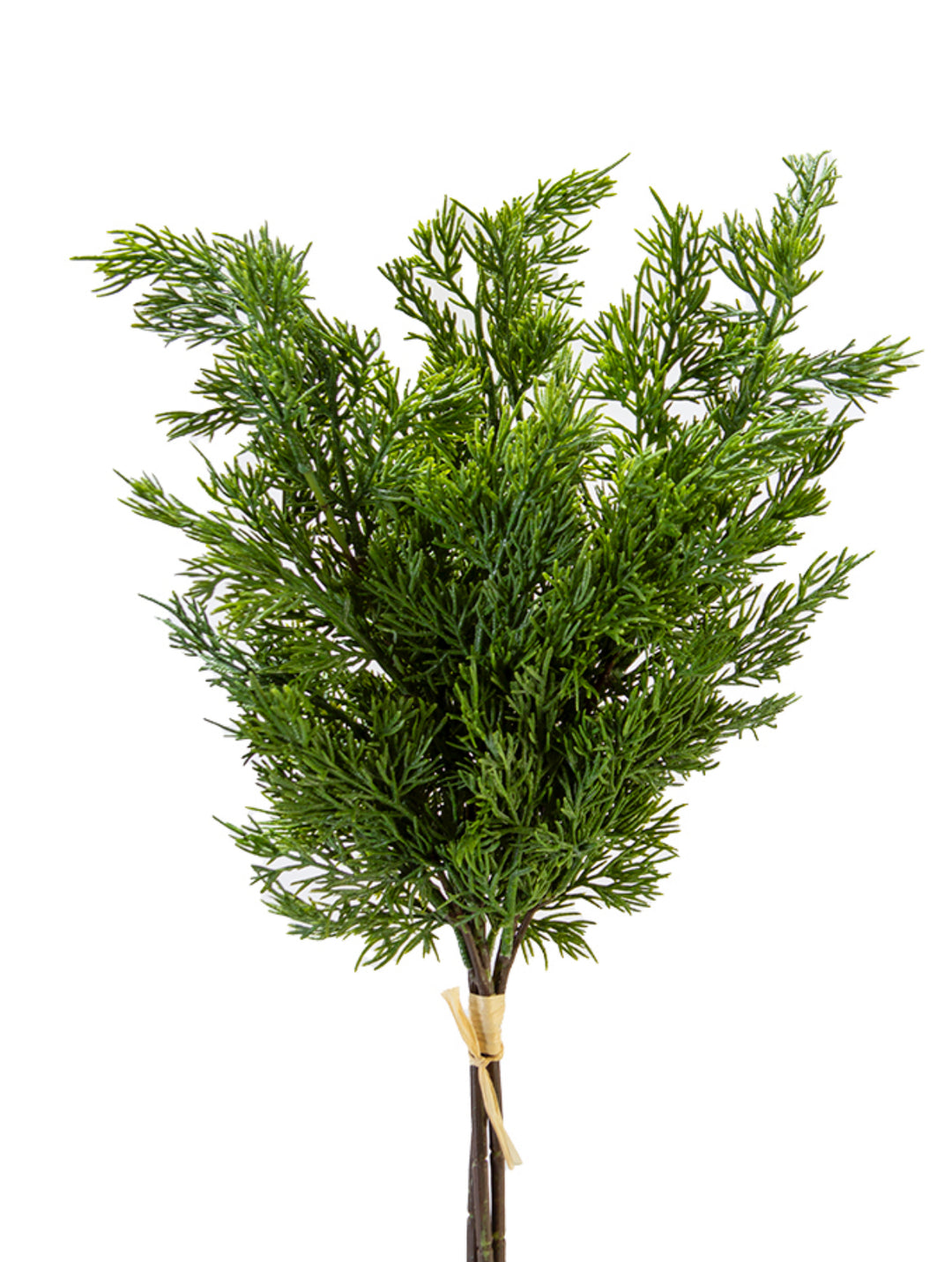 Green Cedar Bundle - 22"