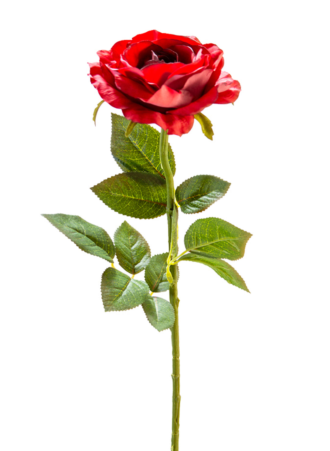 Artificial, Burgundy Rose Stem - 28"