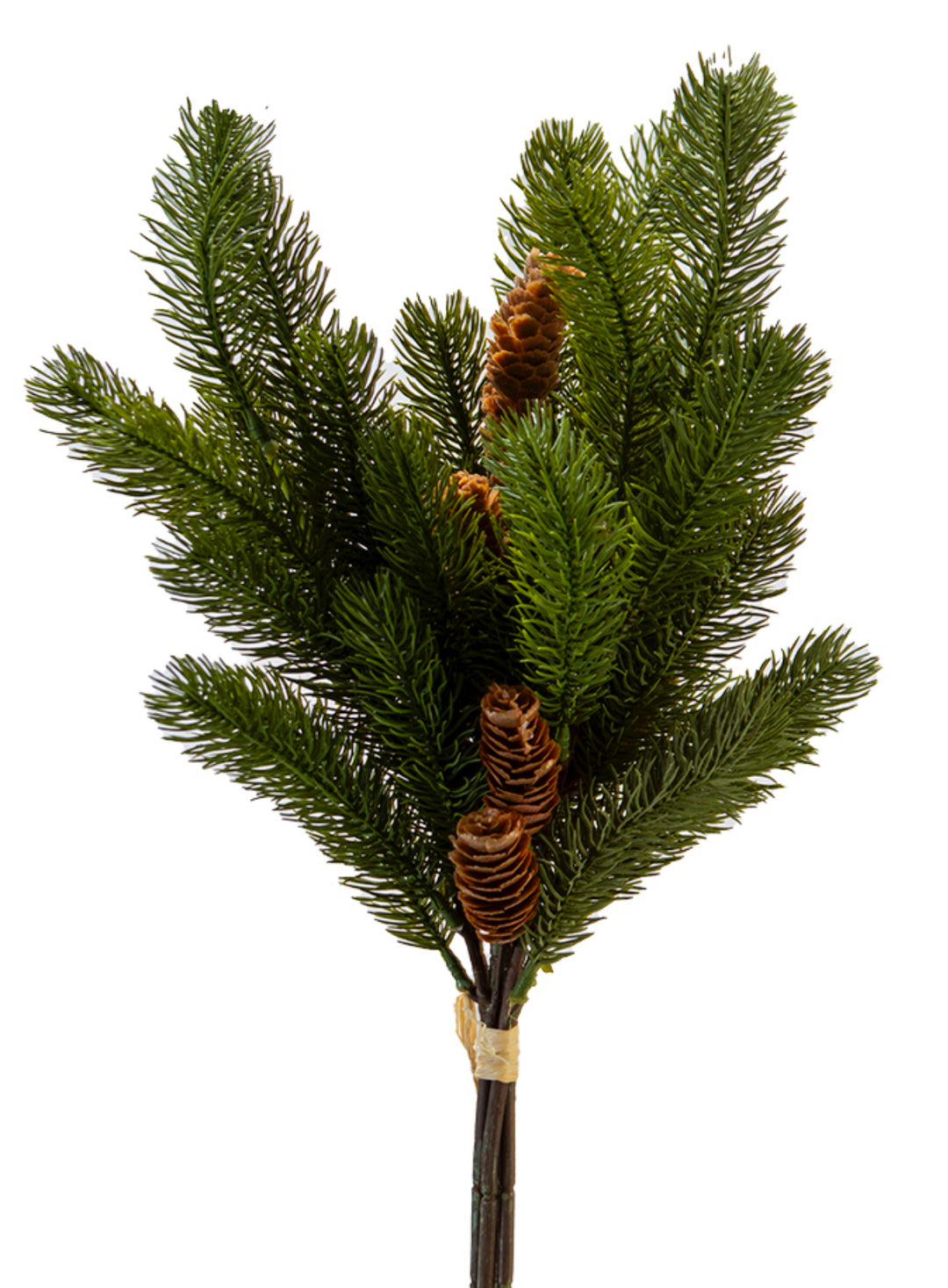 Green Sitka Pine Bundle - 23"