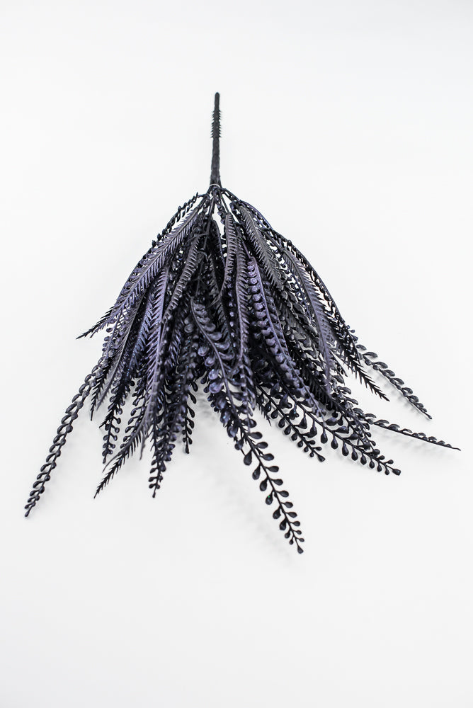 Purple Black Button Leaf Bush