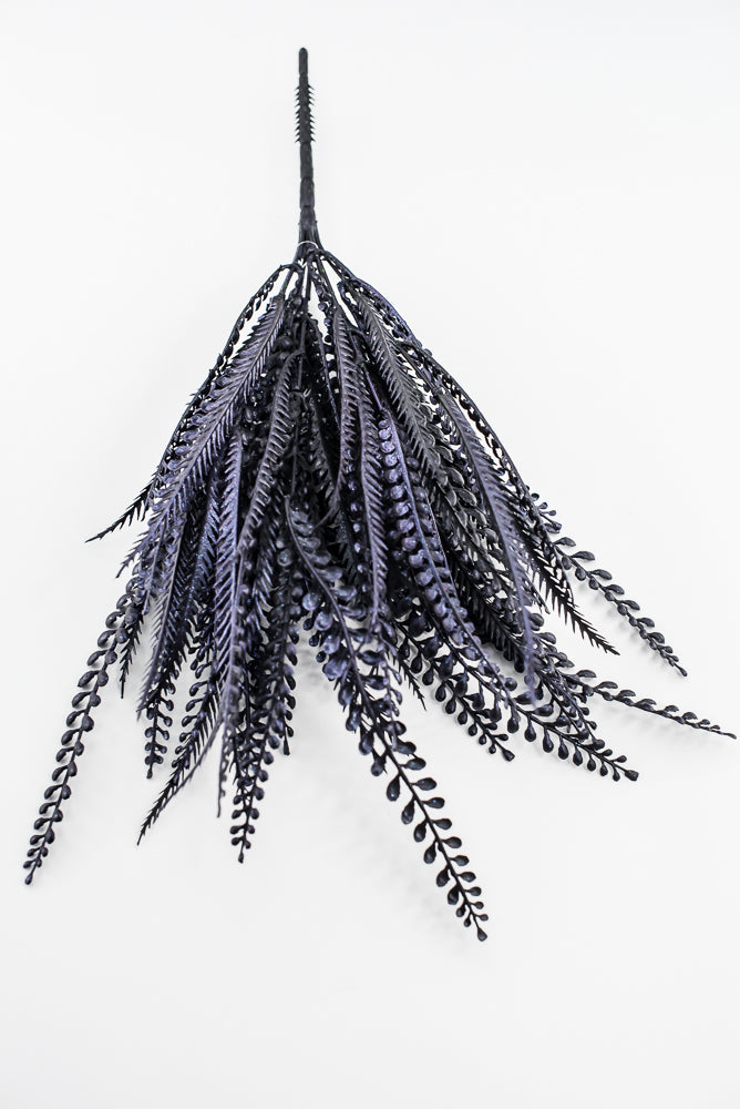 Purple Black Button Leaf Bush