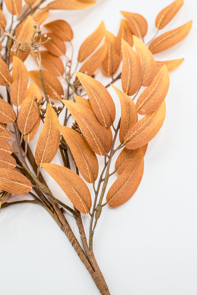 Creamy Orange Seed Eucalyptus Spray