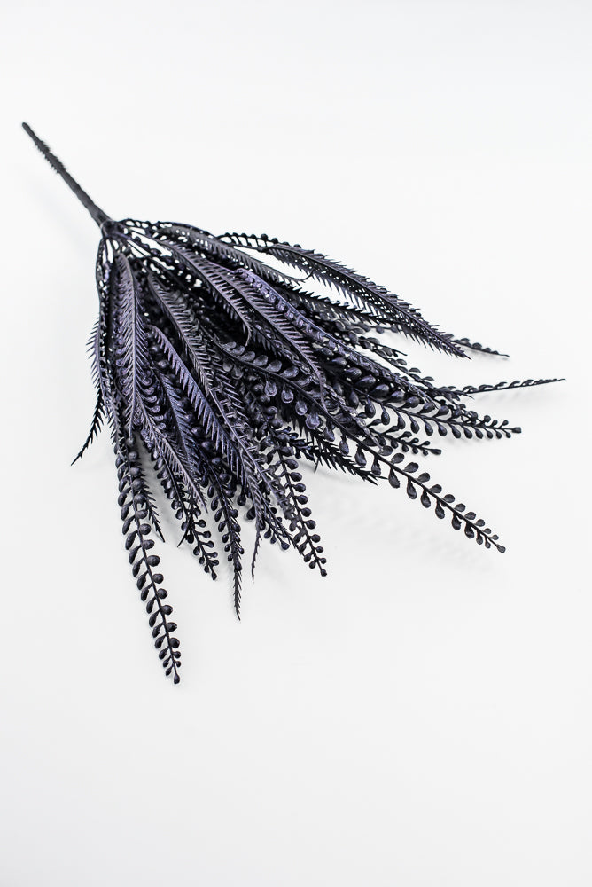 Purple Black Button Leaf Bush