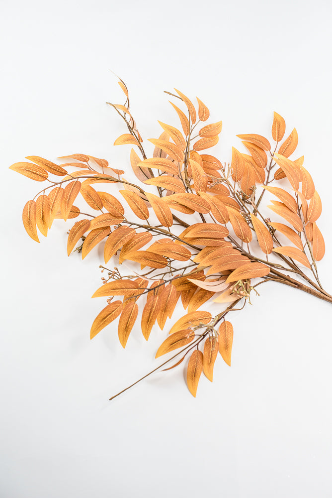 Creamy Orange Seed Eucalyptus Spray