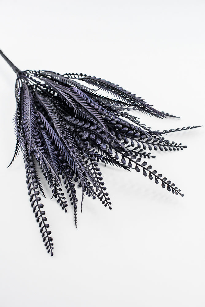 Purple Black Button Leaf Bush