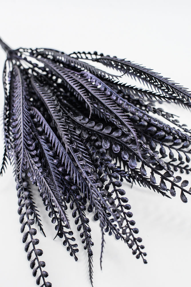 Purple Black Button Leaf Bush