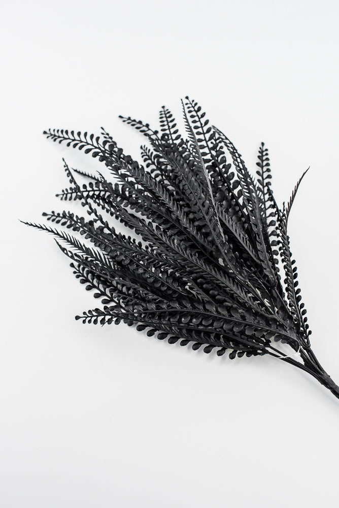 Black Bead Grass Bush