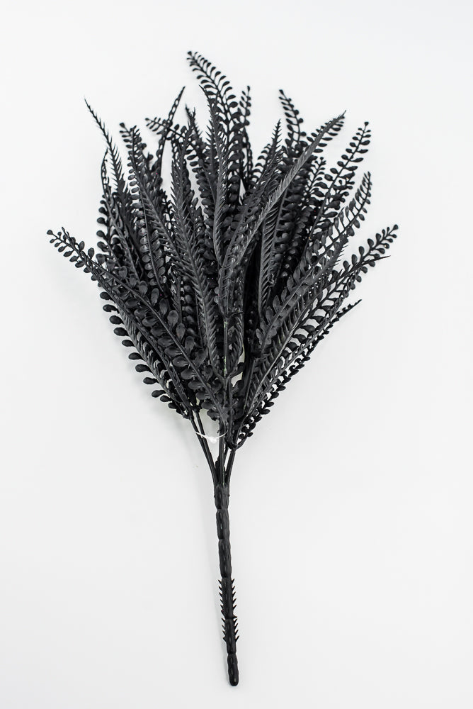 Black Bead Grass Bush