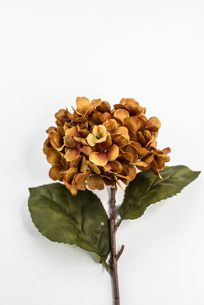 Mustard Hydrangea Spray - 25"