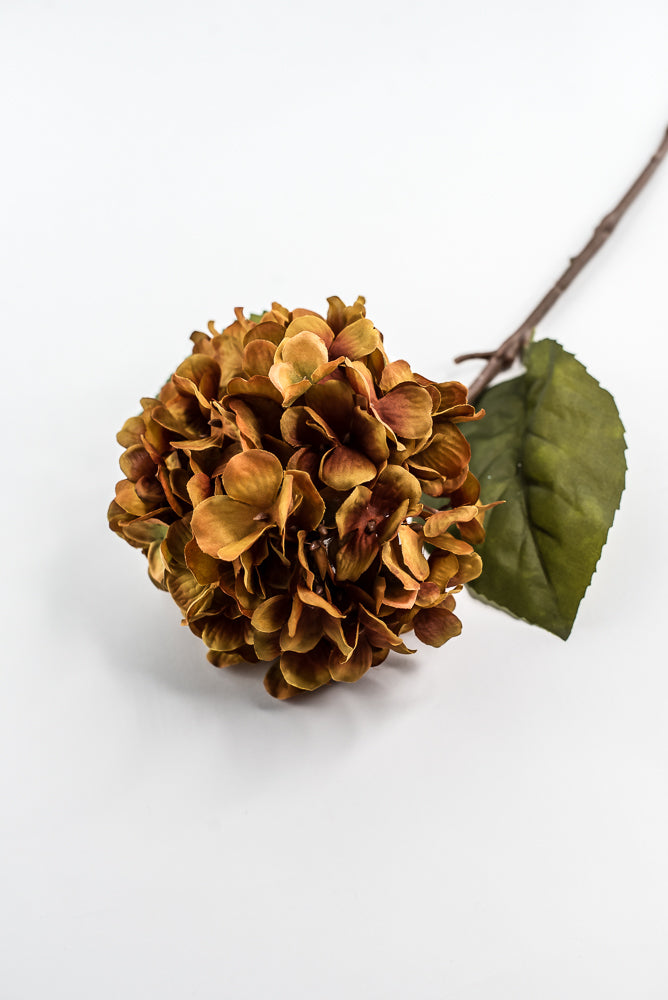 Mustard Hydrangea Spray - 25"