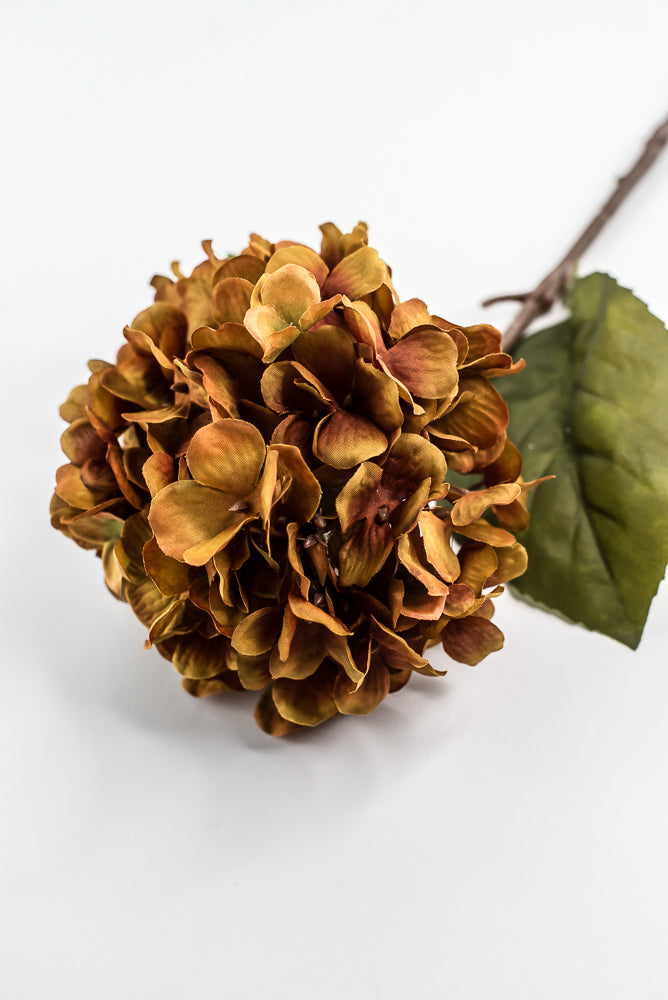 Mustard Hydrangea Spray - 25"