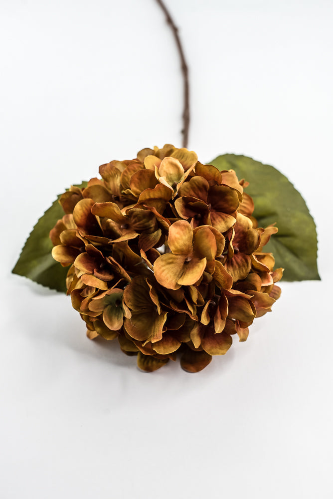 Mustard Hydrangea Spray - 25"