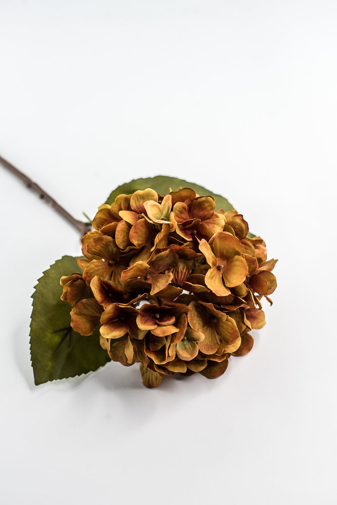 Mustard Hydrangea Spray - 25"