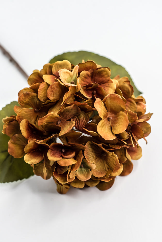 Mustard Hydrangea Spray - 25"