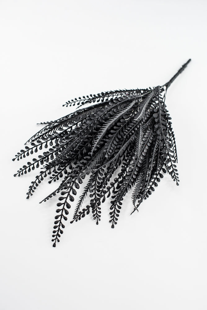 Black Bead Grass Bush