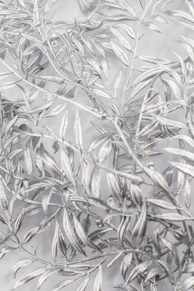 Silver hanging hemlock spray
