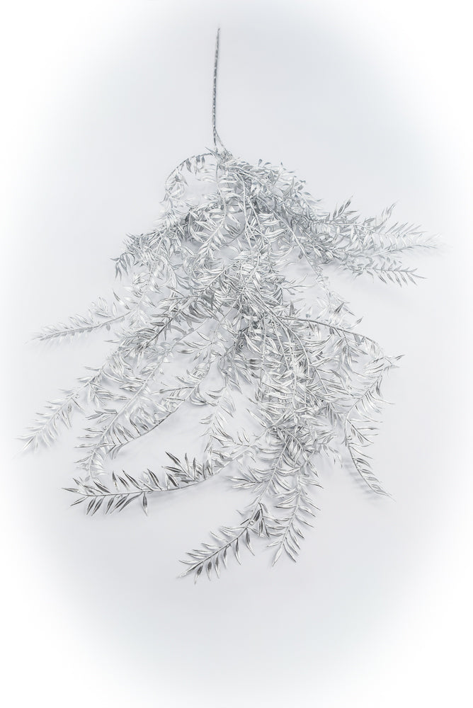 Silver hanging hemlock spray