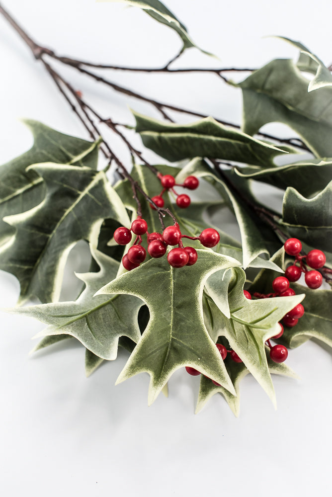 Red Variegated Holly Spray With Berries - 31"