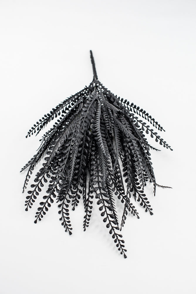 Black Bead Grass Bush
