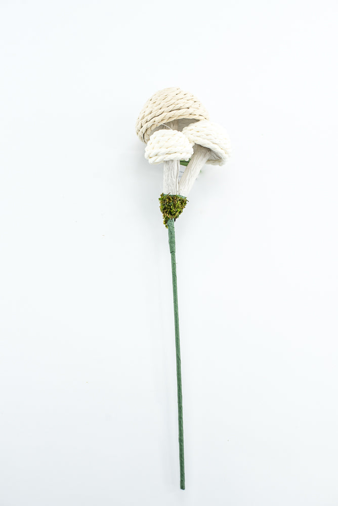 Woven Mushroom Pick