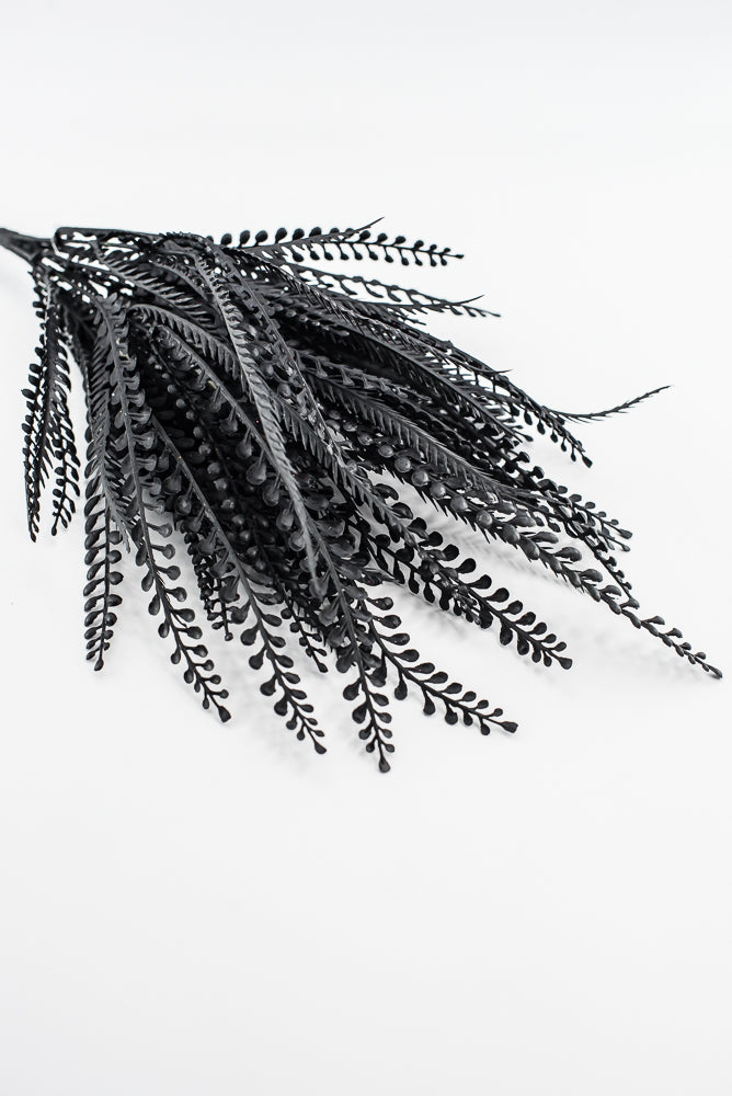 Black Bead Grass Bush