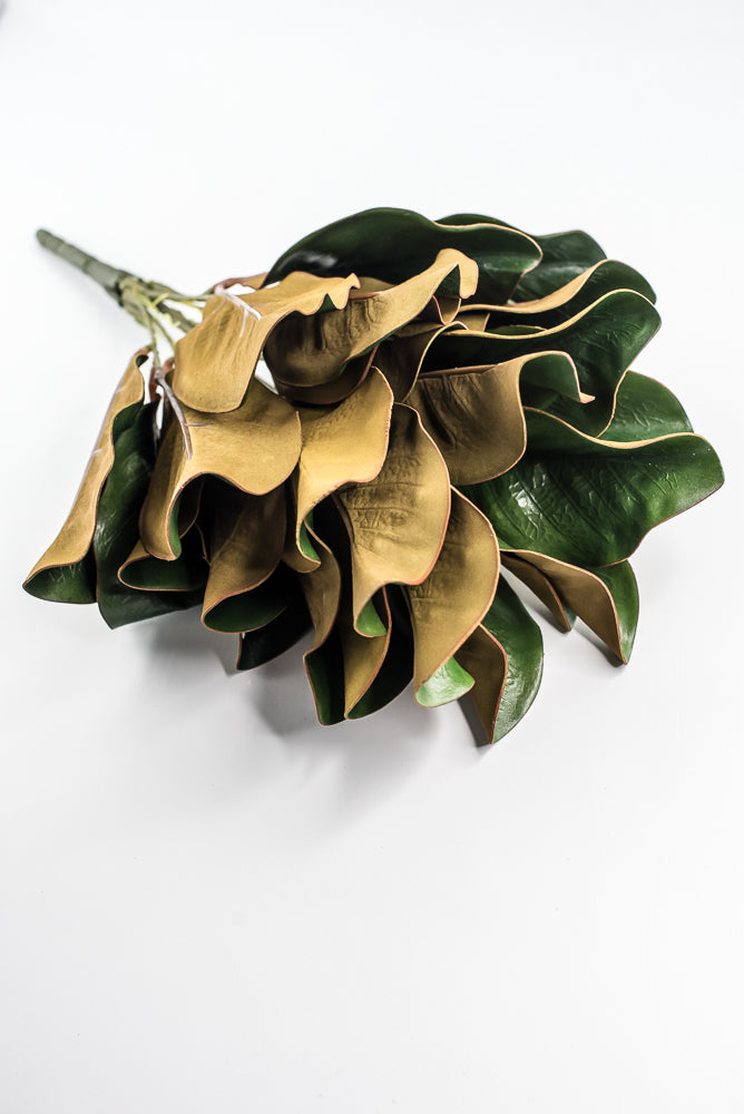 Green Magnolia Leaf Bush - 18"