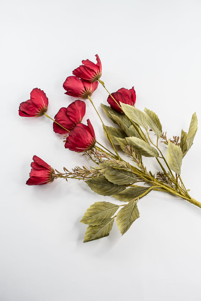 Red Mixed Poppy Bush