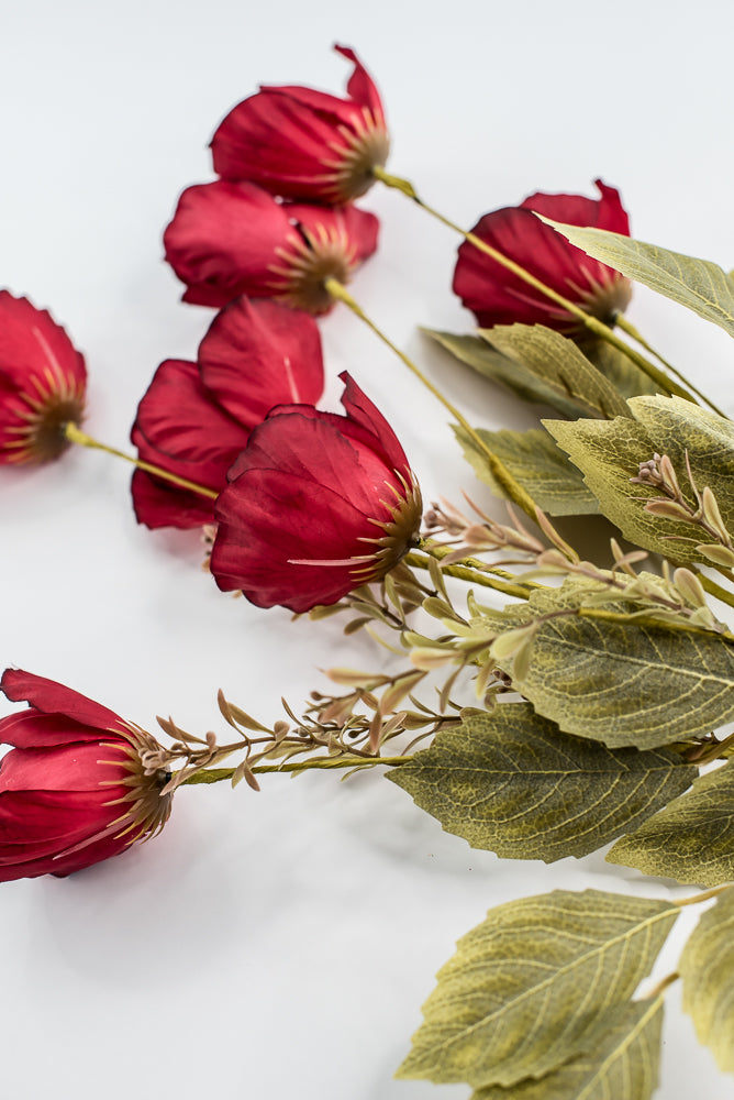 Red Mixed Poppy Bush