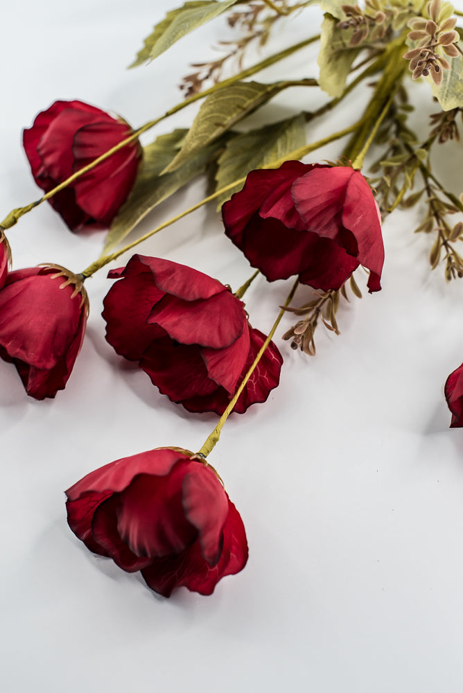 Red Mixed Poppy Bush