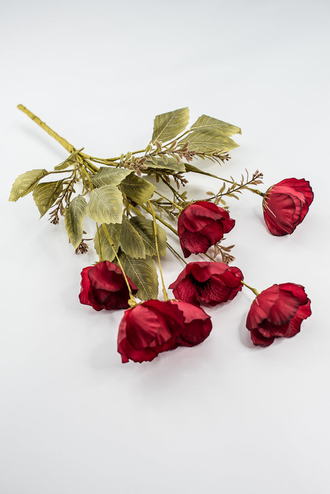 Red Mixed Poppy Bush