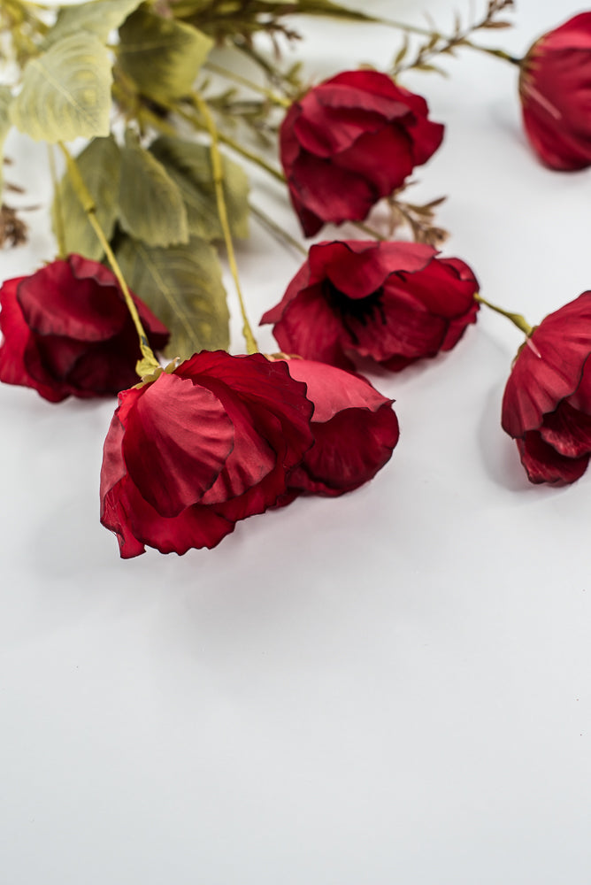 Red Mixed Poppy Bush