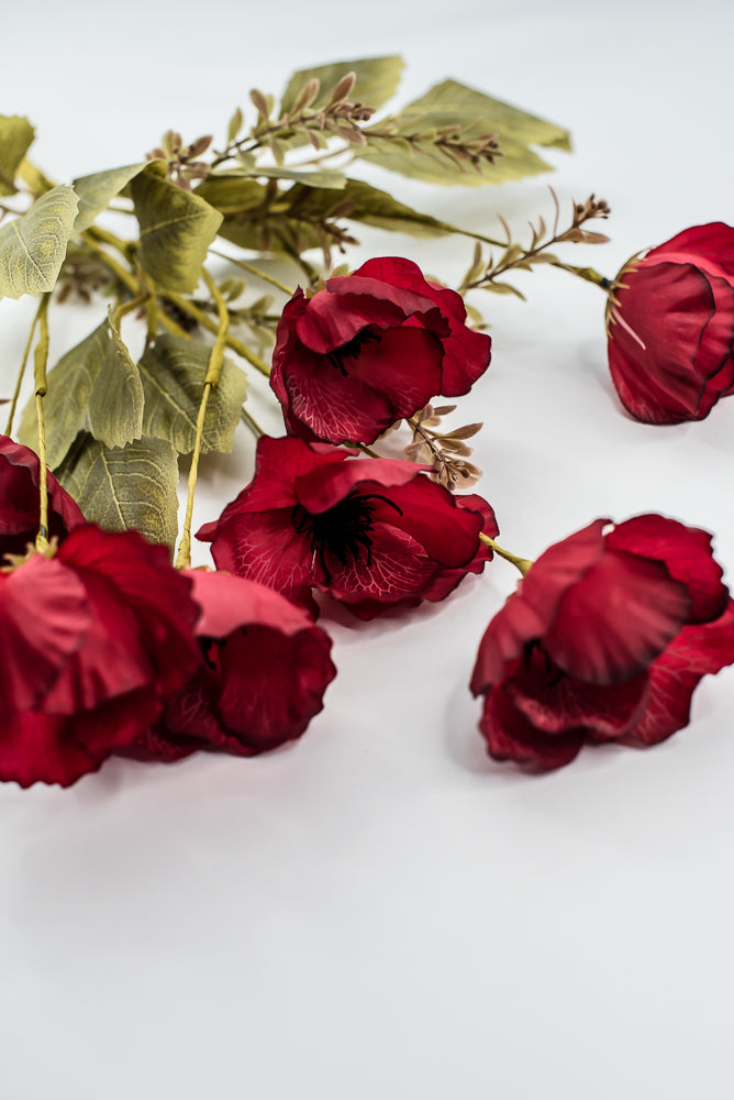 Red Mixed Poppy Bush