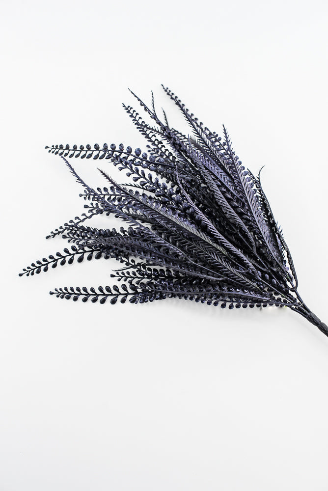 Purple Black Button Leaf Bush