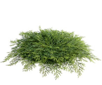 Faux Cedar Green Placemat - 18"