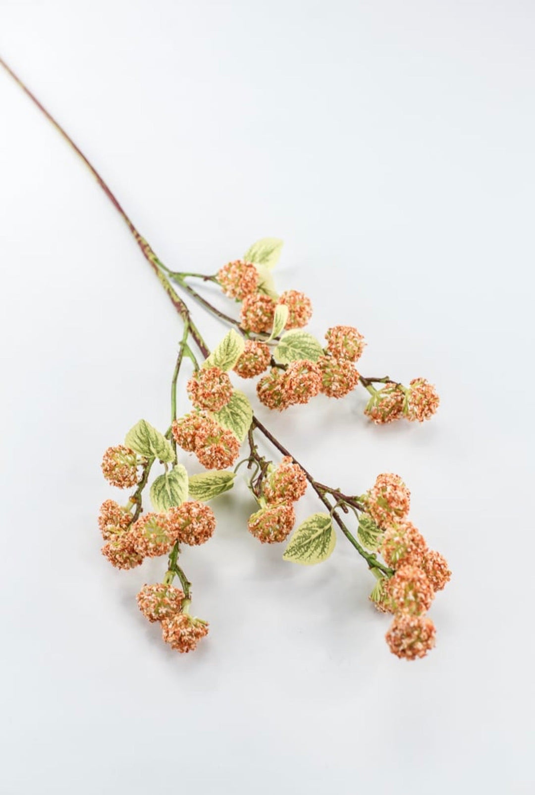 Allium Bud Spray - Greenery Market63738CO