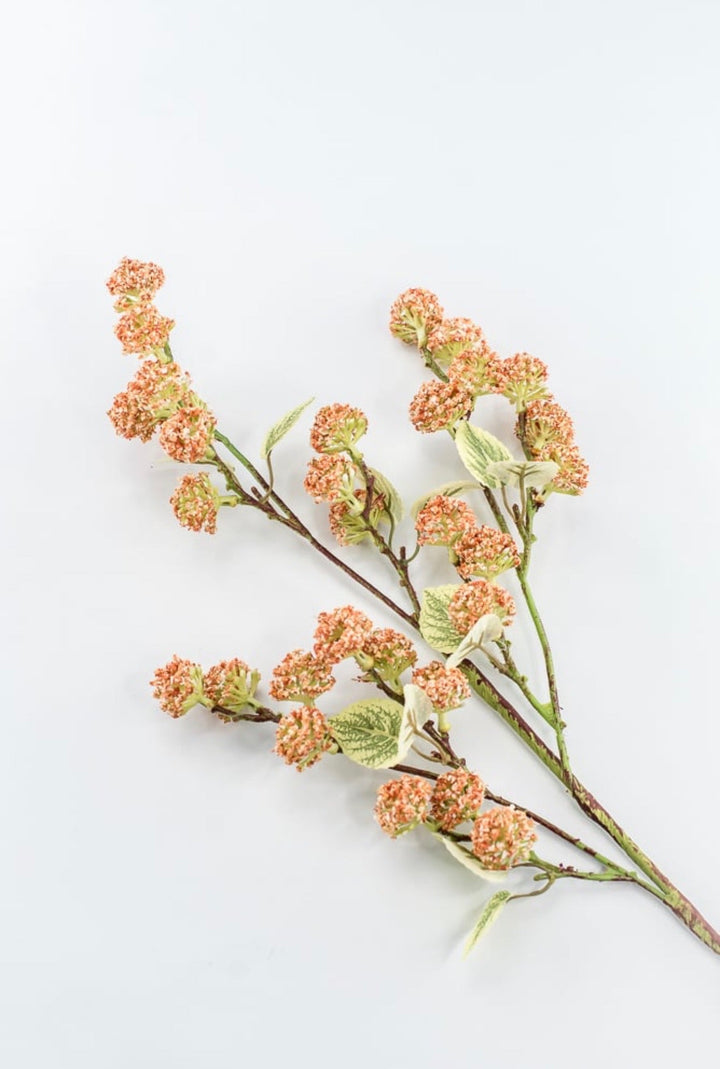 Allium Bud Spray - Greenery Market63738CO