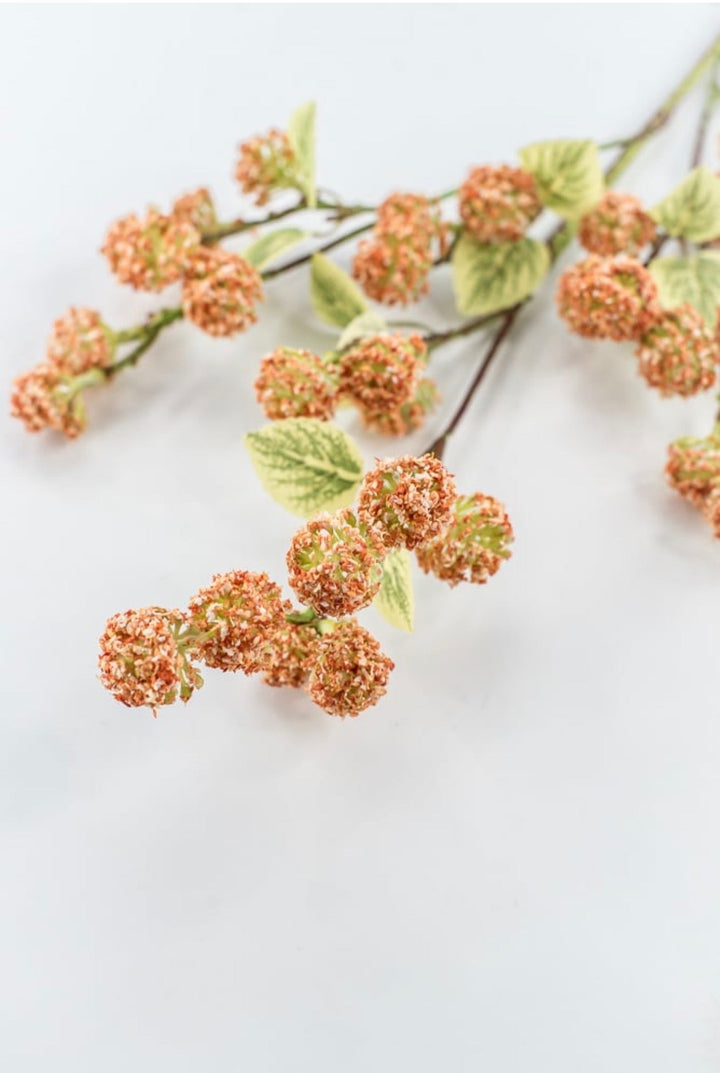 Allium Bud Spray - Greenery Market63738CO