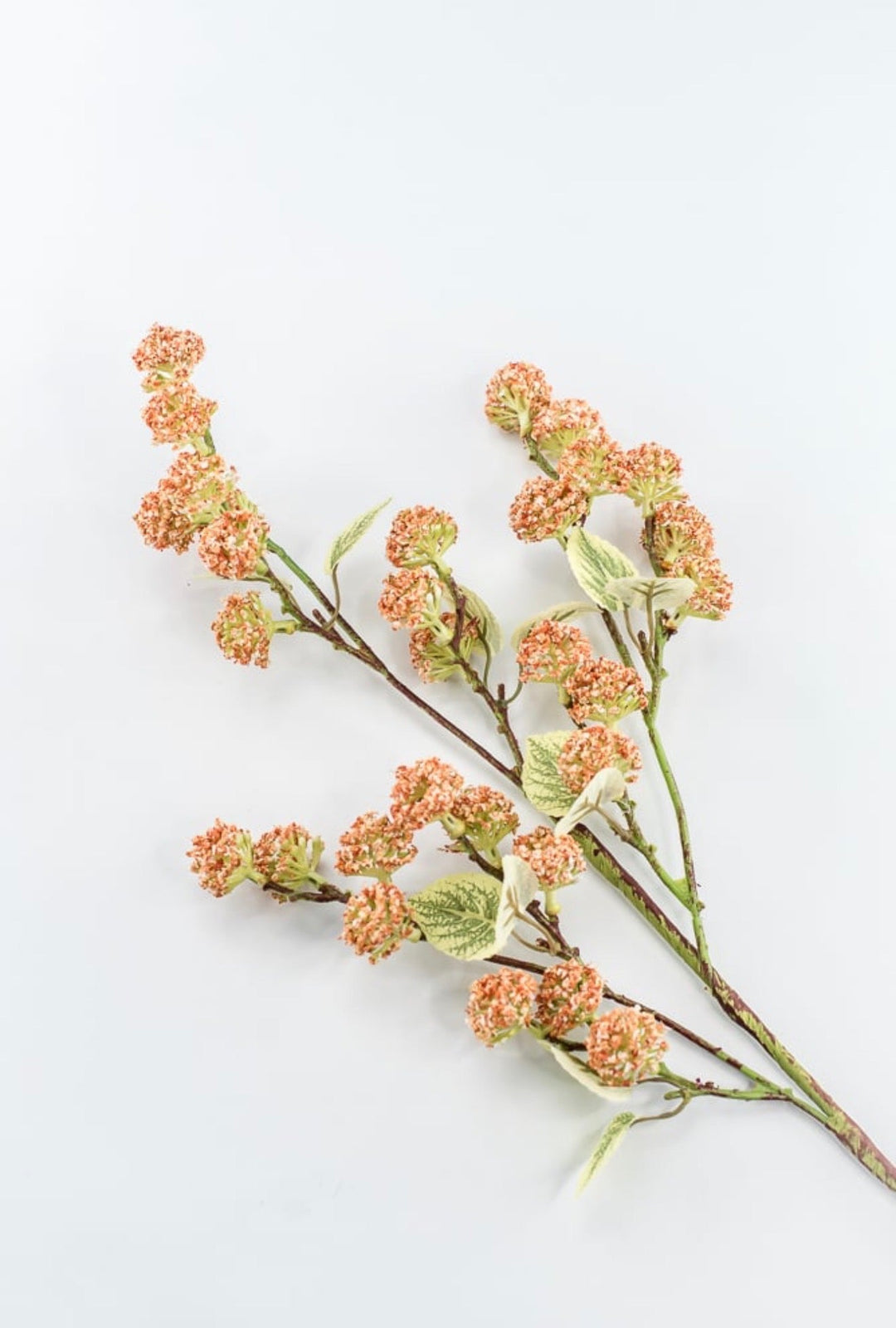 Allium Bud Spray - Greenery Market63738CO