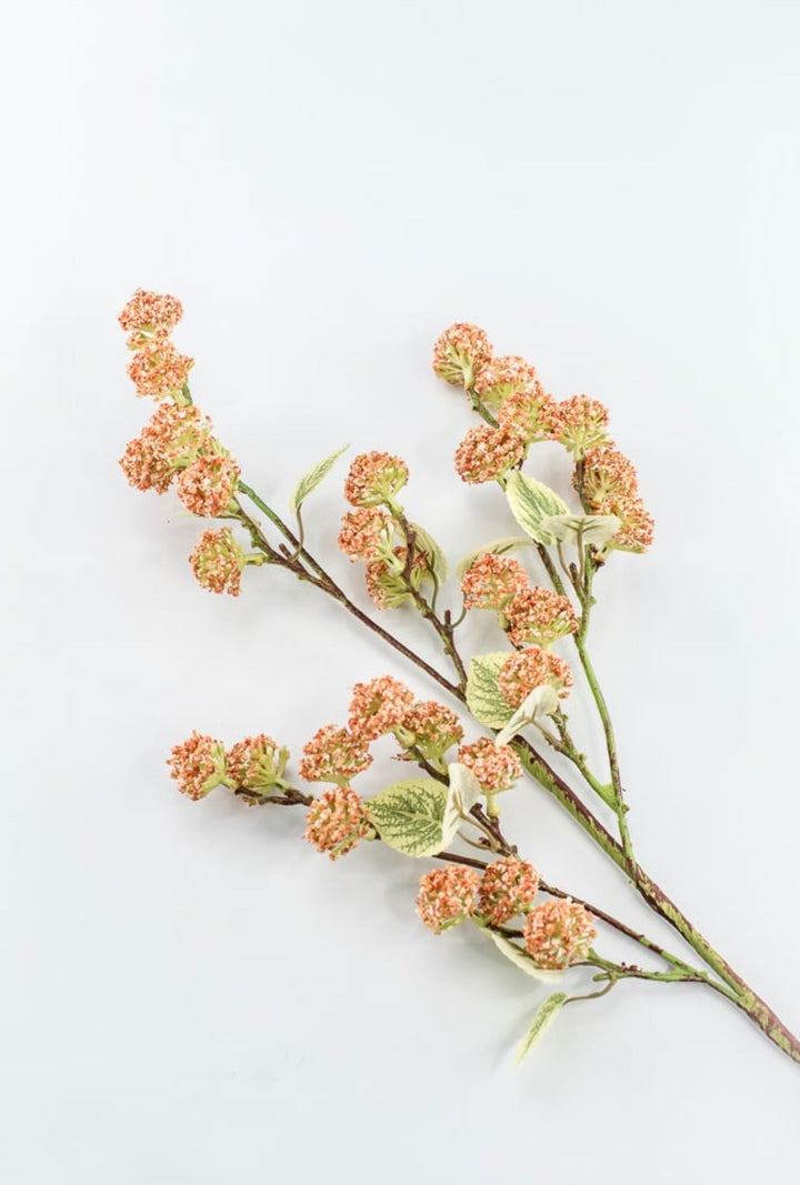 Allium Bud Spray - Greenery Market63738CO